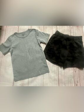 Outfit 3T Shorts/SS Tee